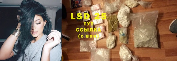 крисы Богородицк