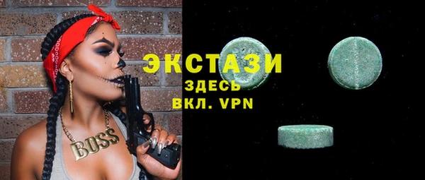 крисы Богородицк