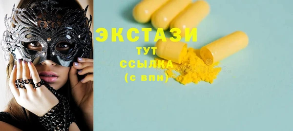 крисы Богородицк