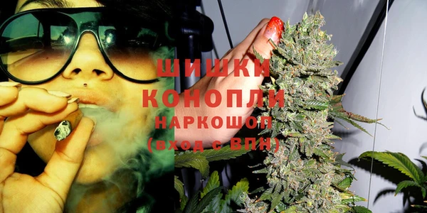 ешки Богданович