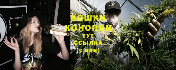 ешки Богданович