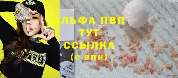 крисы Богородицк
