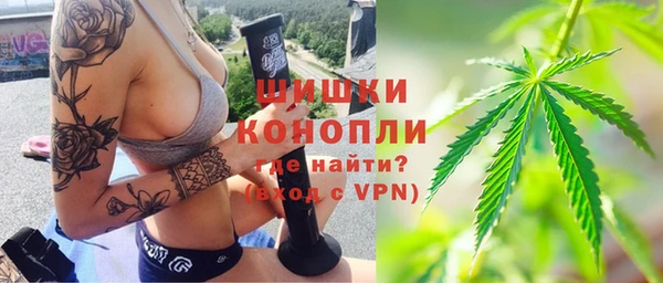 крисы Богородицк