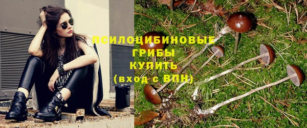 ешки Богданович