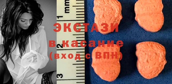 крисы Богородицк