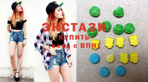 крисы Богородицк