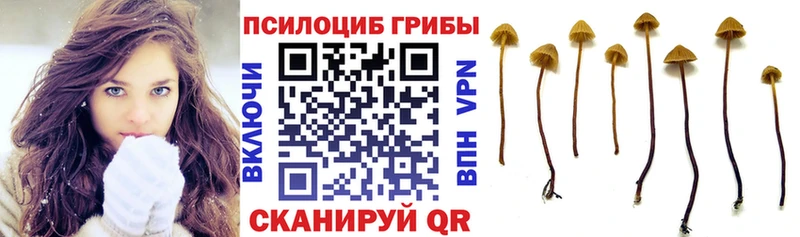 Галлюциногенные грибы Psilocybe  KRAKEN рабочий сайт  Яровое 